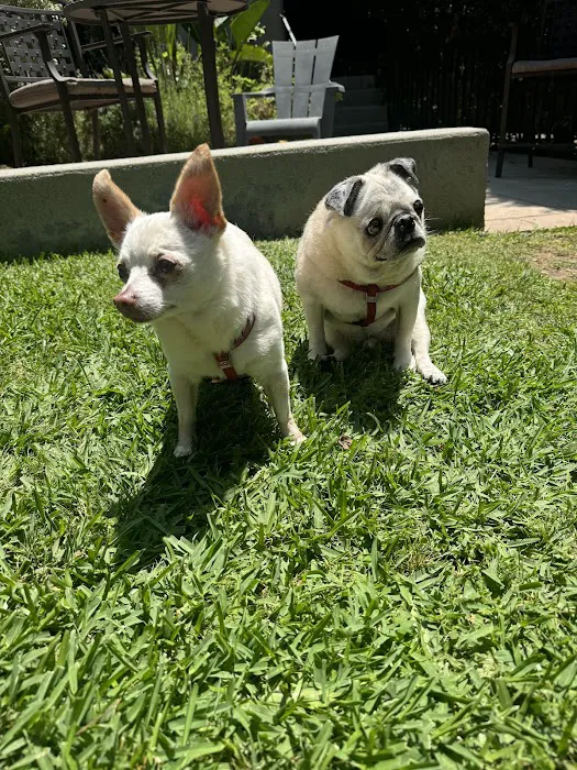 Sepulveda Animal Hospital 4