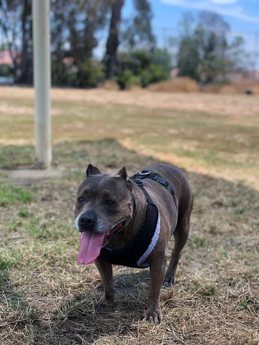 Sepulveda Animal Hospital 6