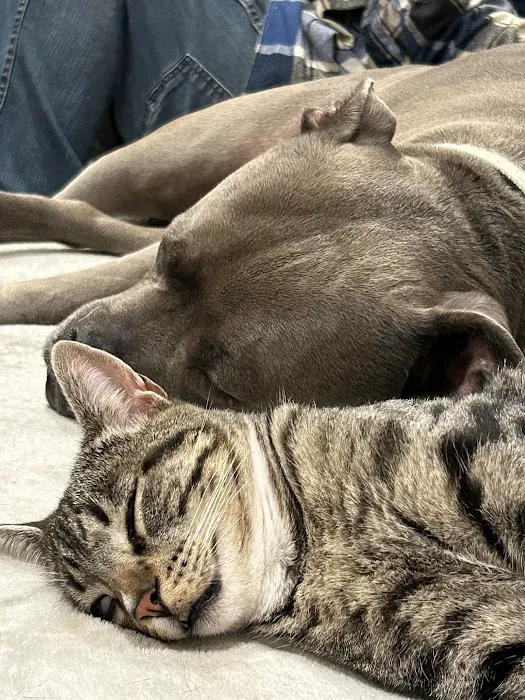 Sepulveda Animal Hospital 7
