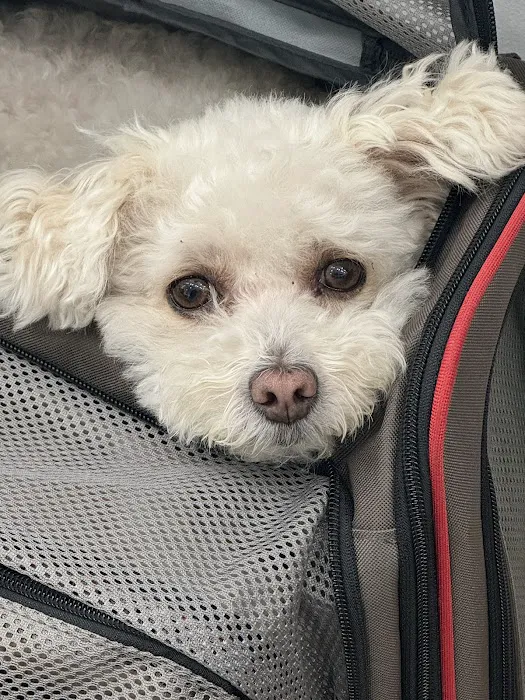 Sepulveda Animal Hospital 5