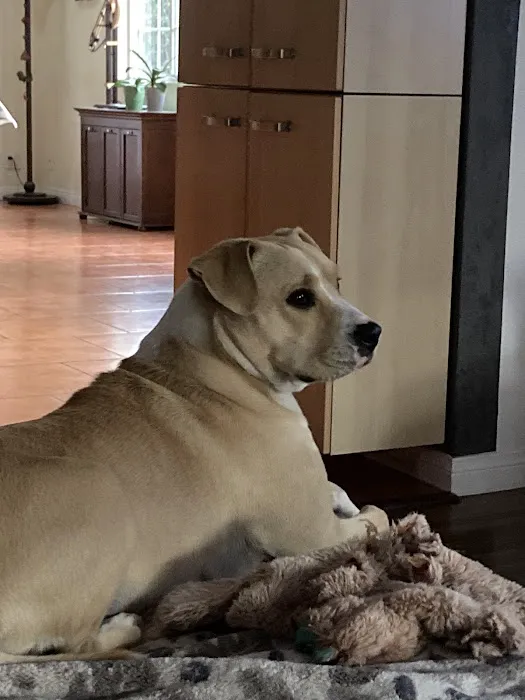 Sepulveda Animal Hospital 1