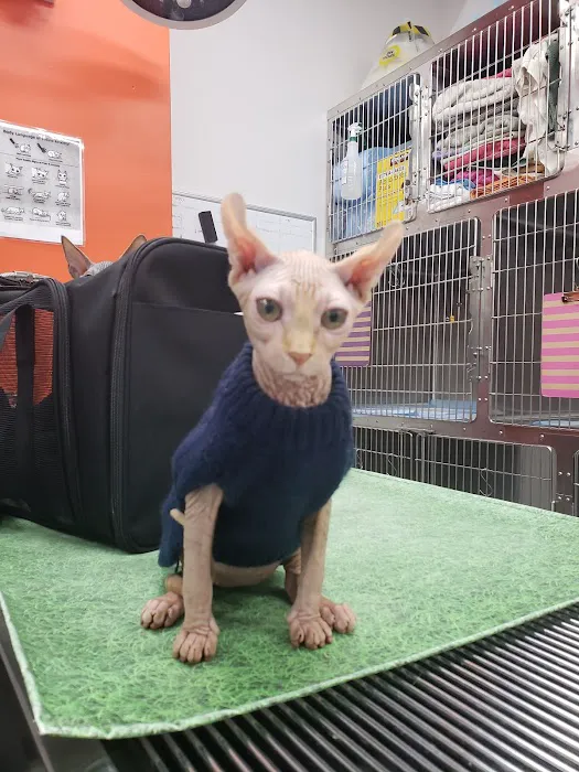 Angel City Animal Hospital 8