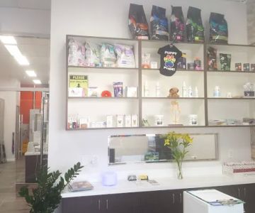 Angel City Animal Hospital