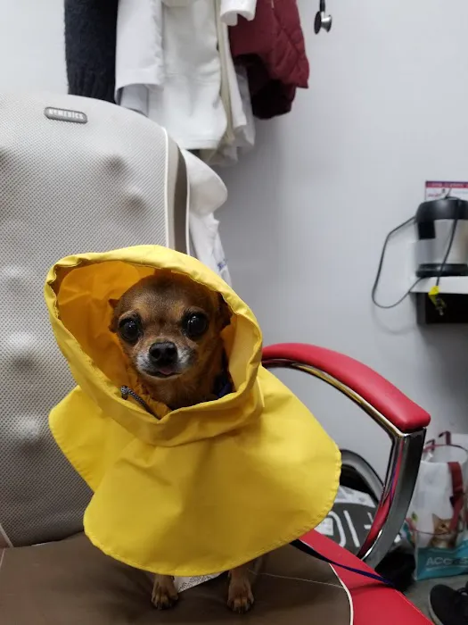 Angel City Animal Hospital 6