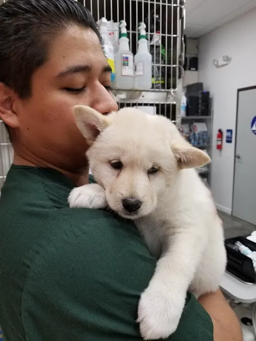 Angel City Animal Hospital 2