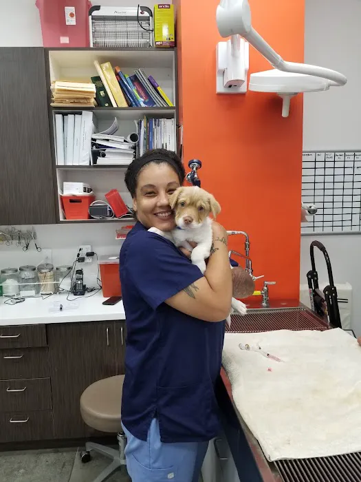 Angel City Animal Hospital 3