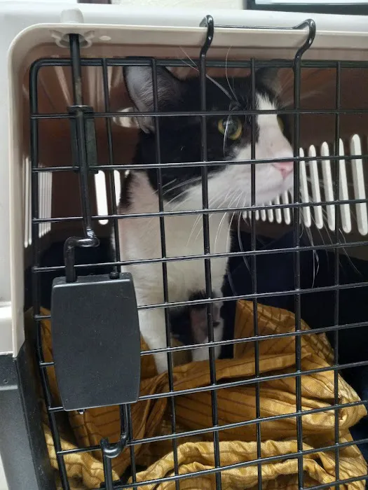 North Figueroa Animal Hospital 12