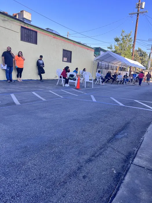 North Figueroa Animal Hospital 12