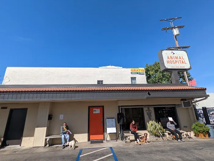 North Figueroa Animal Hospital 12