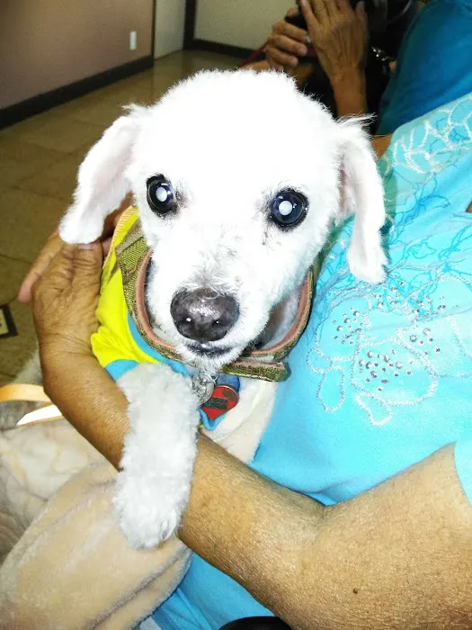 North Figueroa Animal Hospital 12