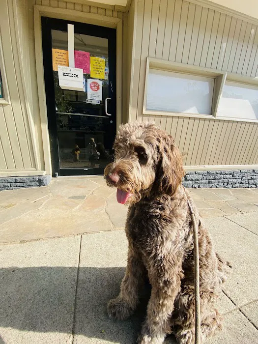 Affordable Animal Hospital Silver Lake 6
