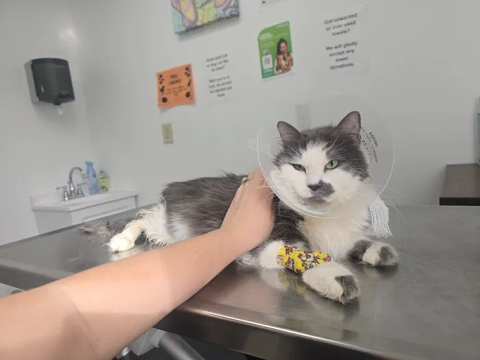 Affordable Animal Hospital Silver Lake 1