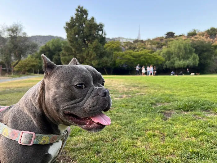 Affordable Animal Hospital Silver Lake 9