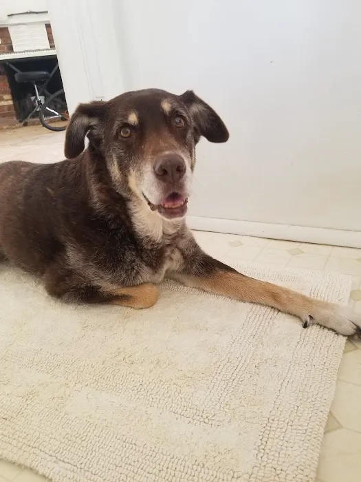 Affordable Animal Hospital: Eagle Rock 12