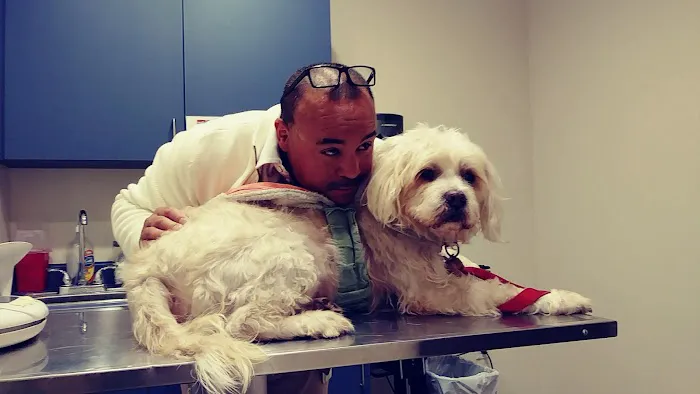 Affordable Animal Hospital: Eagle Rock 12