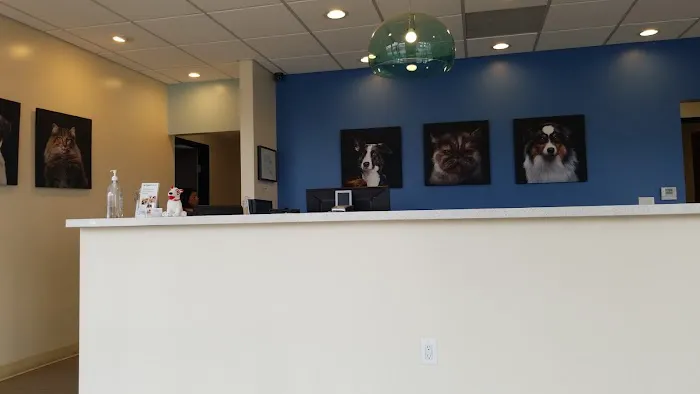 Affordable Animal Hospital: Eagle Rock 12