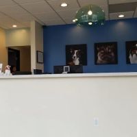 Affordable Animal Hospital: Eagle Rock ico