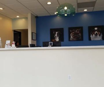Affordable Animal Hospital: Eagle Rock