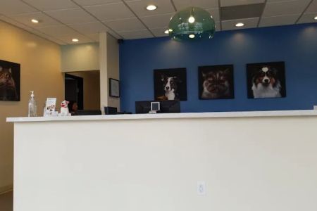 Affordable Animal Hospital: Eagle Rock