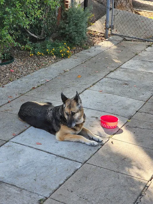 Highland Park Animal Hospital 12