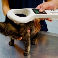 Highland Park Animal Hospital ico