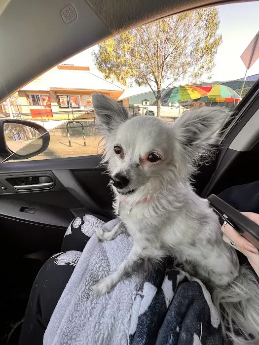 Eagle Rock Animal Emergency 12