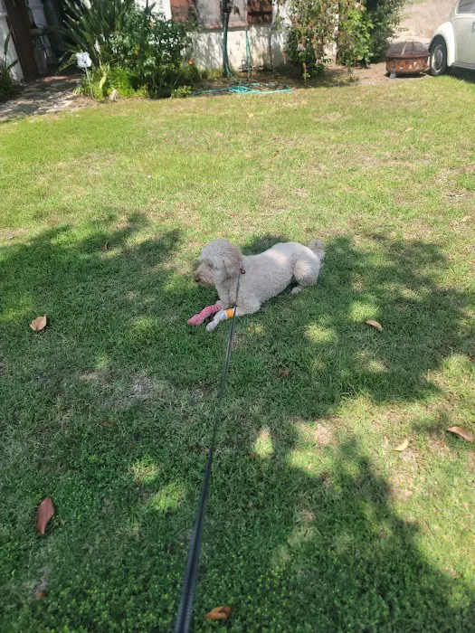 Eagle Rock Animal Emergency 12