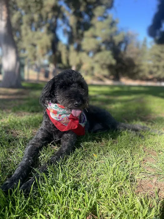Eagle Rock Animal Emergency 12