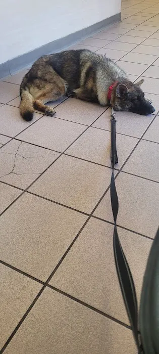 Eagle Glen Veterinary Clinic 12