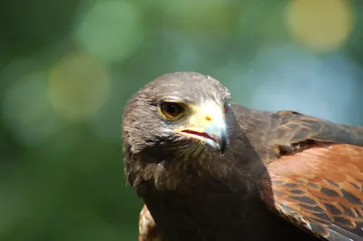 Eagle Glen Veterinary Clinic 12