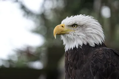 Eagle Glen Veterinary Clinic 12