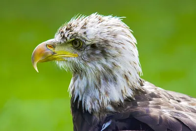 Eagle Glen Veterinary Clinic 12
