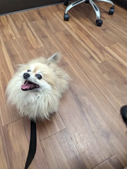 Eagle Glen Veterinary Clinic 12