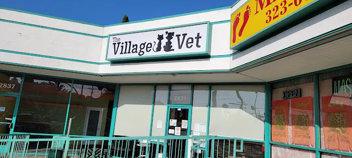 The Village Vet 12