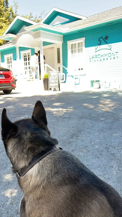 Larchmont Village Vet 12