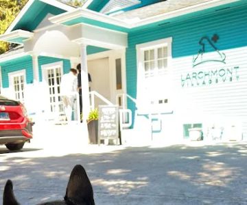 Larchmont Village Vet