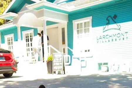 Larchmont Village Vet