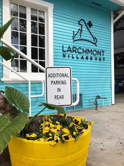 Larchmont Village Vet 12