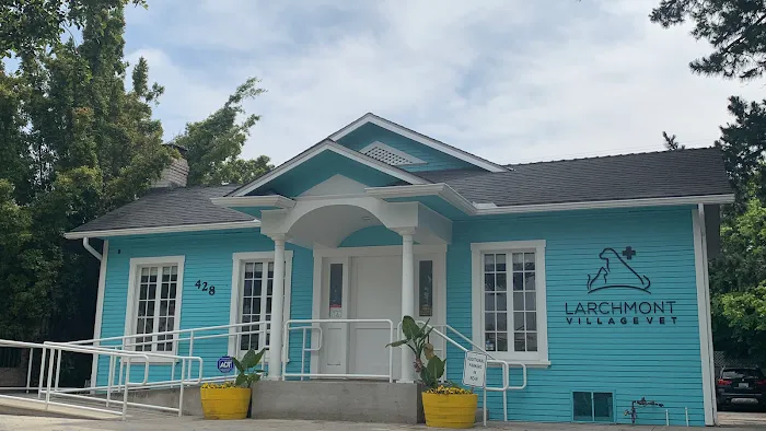 Larchmont Village Vet 12