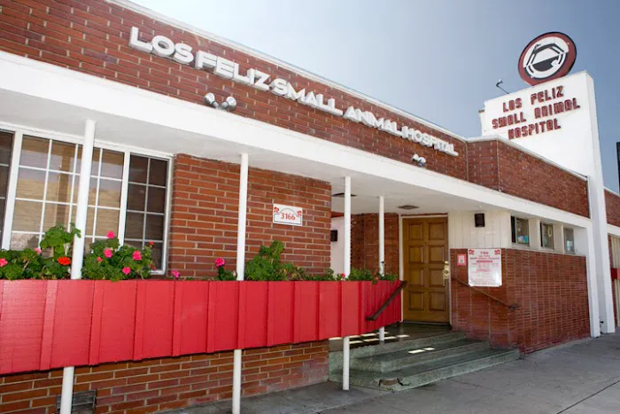Los Feliz Small Animal Hospital 12