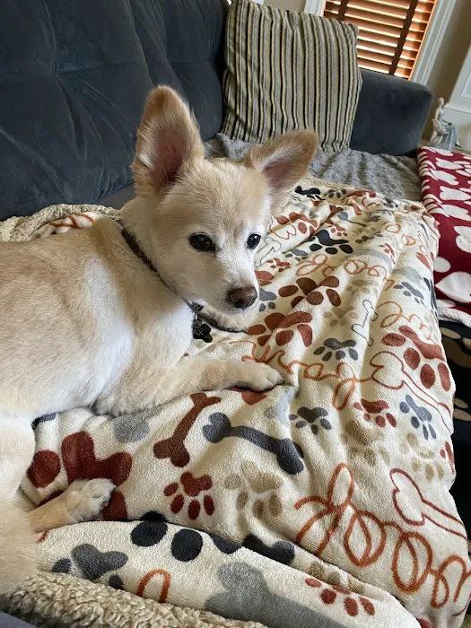 Shane Veterinary Medical Center 2