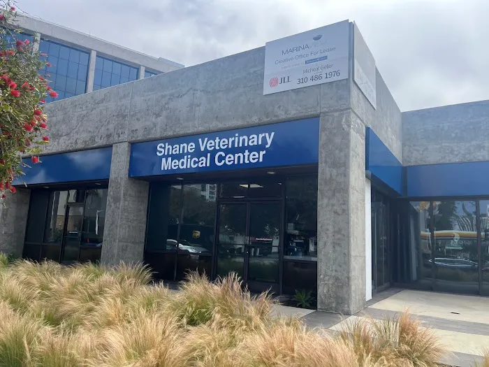 Shane Veterinary Medical Center 5