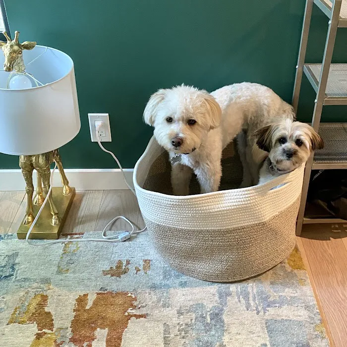 Shane Veterinary Medical Center 9