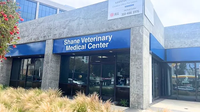 Shane Veterinary Medical Center 10