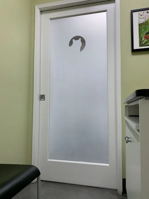 The Cat Hospital 5