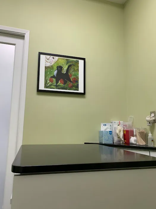 The Cat Hospital 4