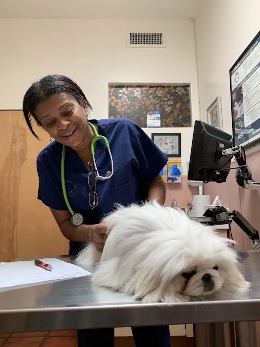 Culver Palms Animal Hospital 3
