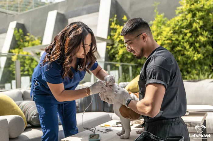 Let's MoVET Mobile Veterinary Care 10