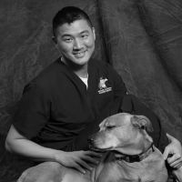 Southern California Veterinary Imaging ico