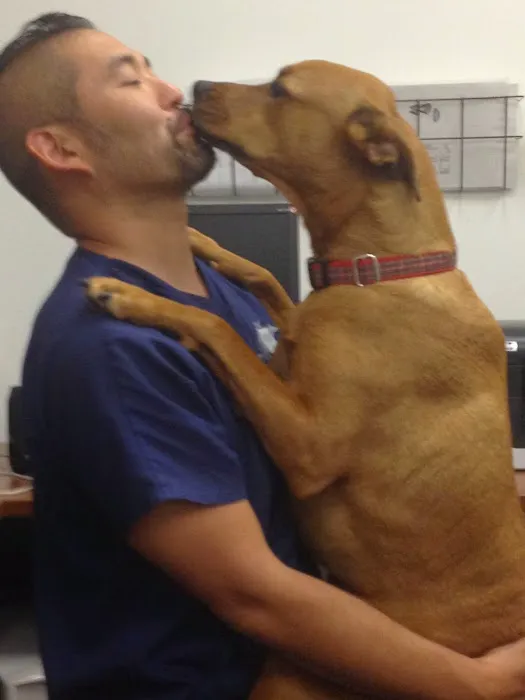 Southern California Veterinary Imaging 3